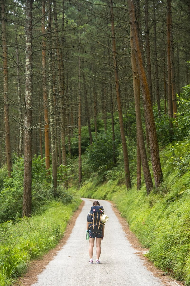 Hiking Image